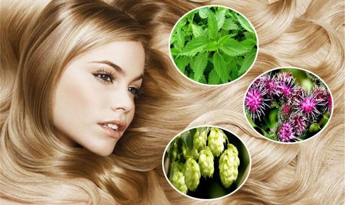 Три растения для ваших волос