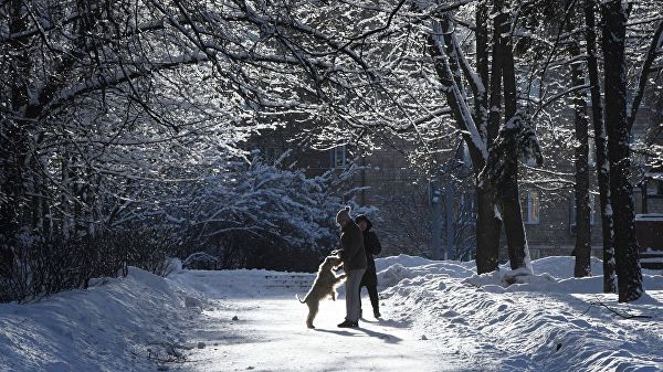 Синоптики предупредили о «рецидиве зимы» в Москве
