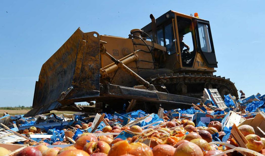 Маразм продолжается: уничтожили более 280 кг «санкционных» товаров в Карелии