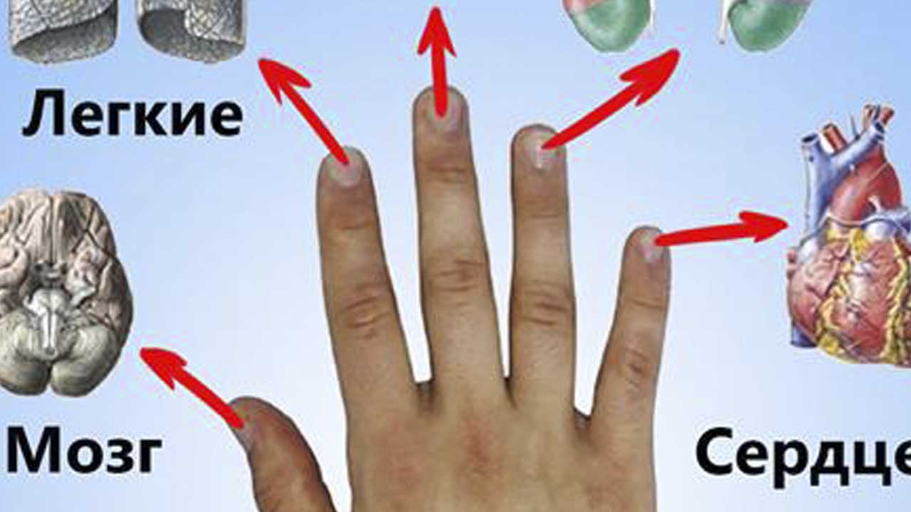 Каждый палец сопряжен с двумя органами: японский метод излечит за 5 минут любую хворь!