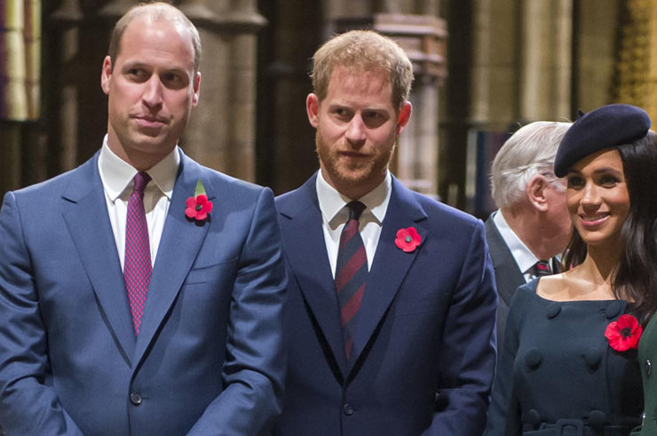 Вредно для монархии: поведение Меган Маркл и Гарри обеспокоило принца Уильяма