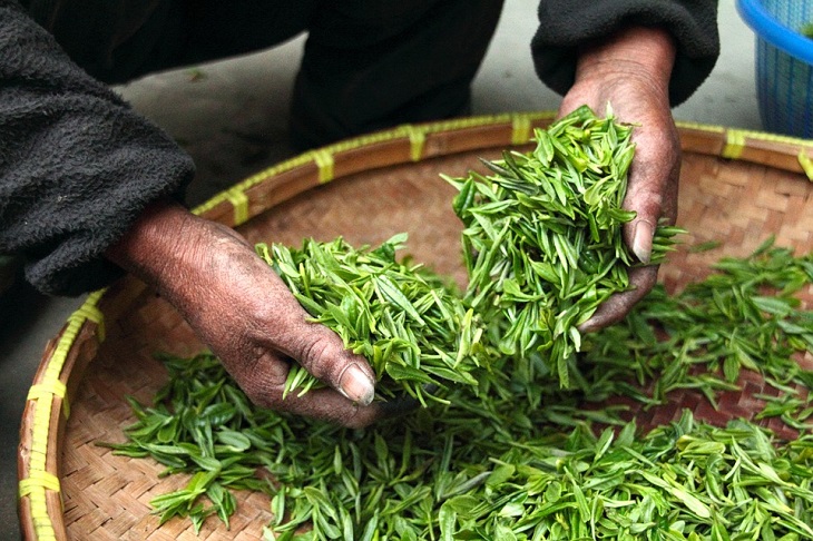 Зеленый чай снижает риск сердечно-сосудистых заболеваний