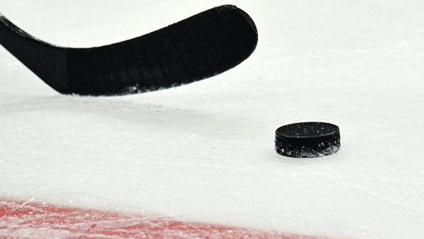 Двух хоккеистов дисквалифицировали пожизненно за драку в Новосибирске