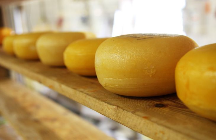 Медики назвали полезные свойства сыра
