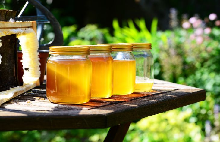 Диетологи озвучили полезные свойства меда