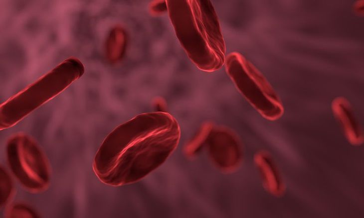 Ученые выяснили, чем уникальна вторая группа крови