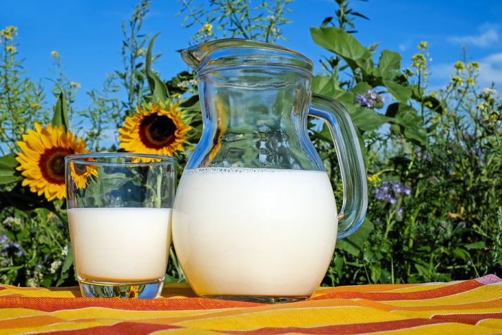 Названы проблемы со здоровьем, которые может вызвать молоко
