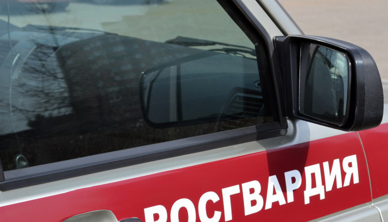 Находившаяся в розыске женщина попалась на краже в Петрозаводске