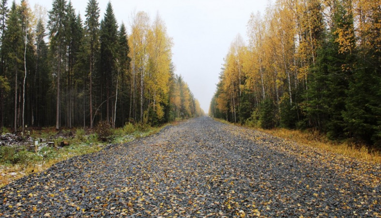17 километров дороги в Карелии отремонтируют за 146 миллионов рублей