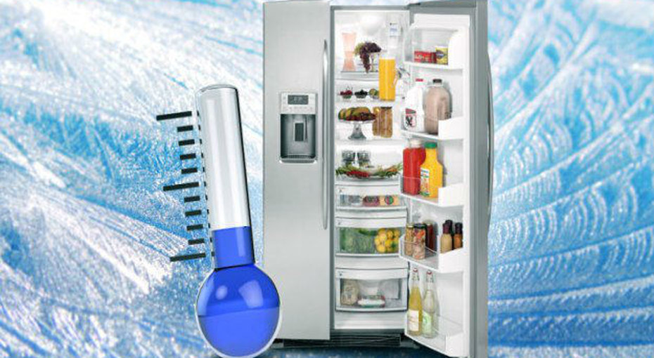 Идеальный порядок в холодильнике — как он выглядит и как его достичь