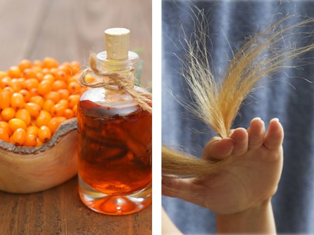 Как приготовить домашний шампунь с маслом облепихи для здоровых волос
