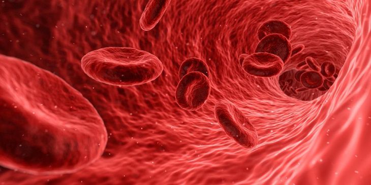 Ученые рассказали об особенностях людей со второй группой крови