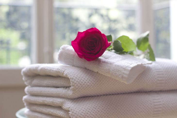 роза, чистота, полотенце