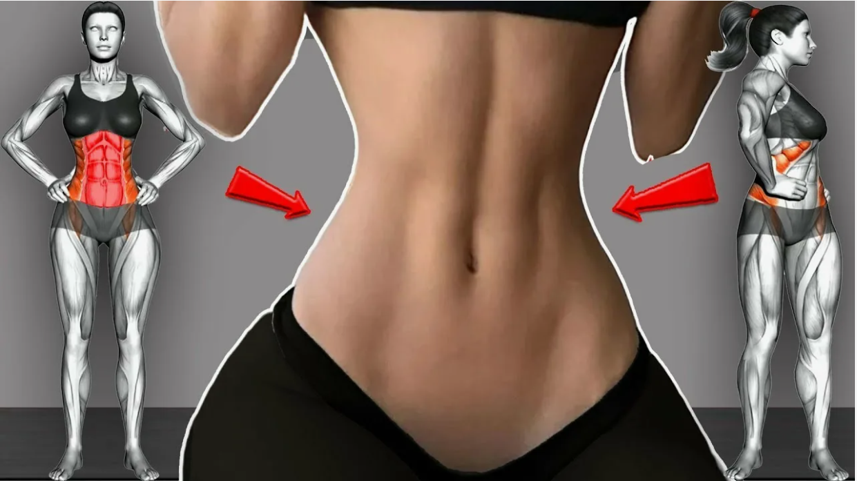 Тонкая талия плоский живот