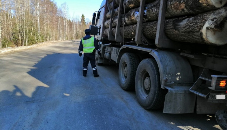 Неисправный лесовоз остановлен на дороге в Карелии