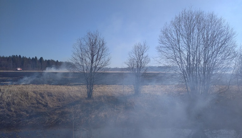 Пожар на площади два гектара тушили сегодня в Карелии