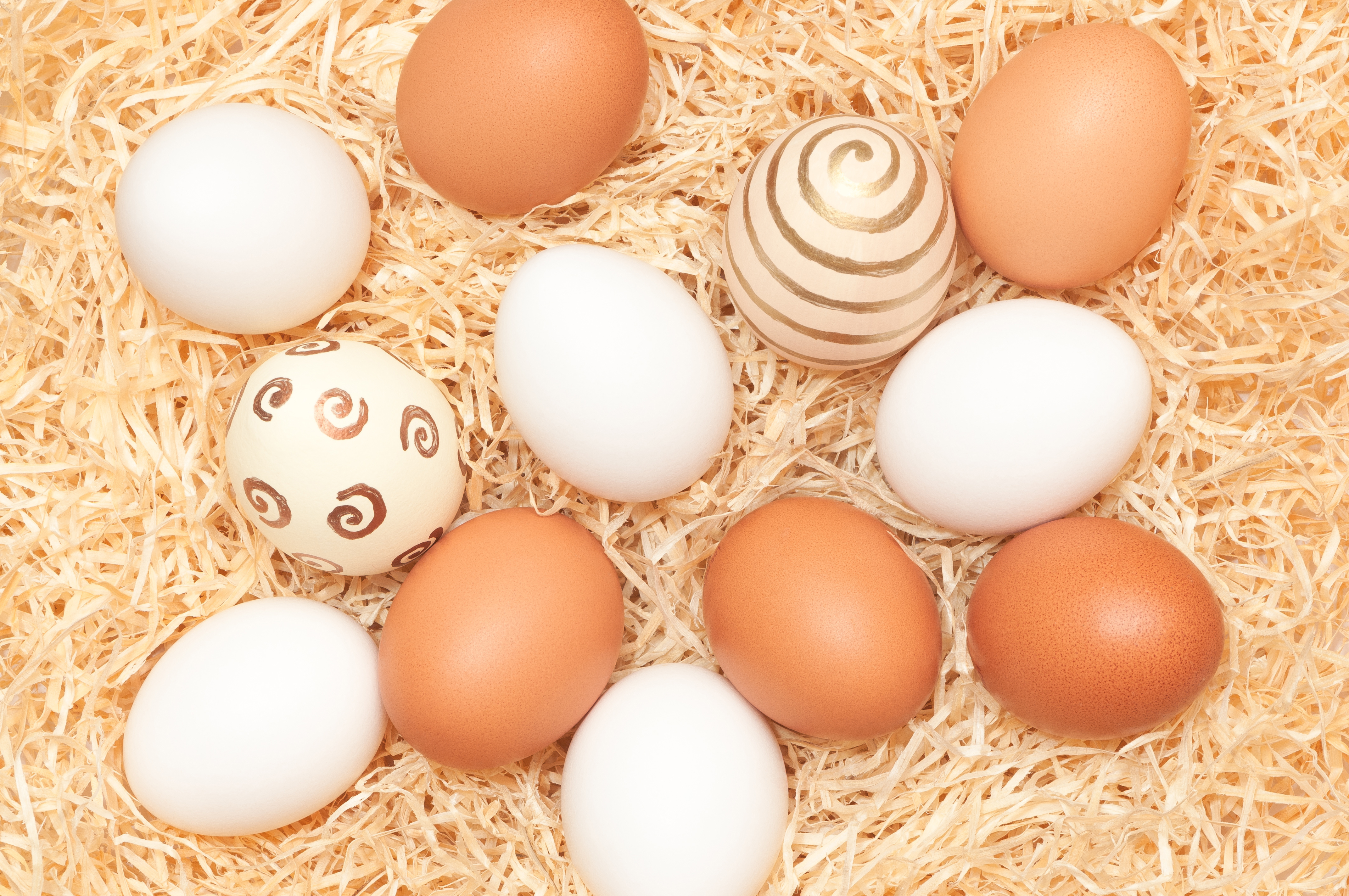 Яйцо картинка. Куриные яйца. Пасхальные яйца куриные. Яйца фото. Пасхальные куриные яйца красивые.