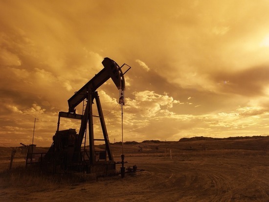 Эксперт спрогнозировал исход российско-саудовских нефтяных переговоров