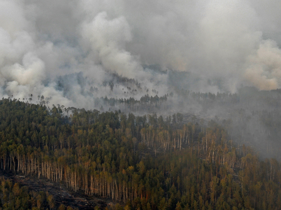 Авиалесоохрана дала прогноз по лесным пожарам: ждем жаркое лето в Сибири