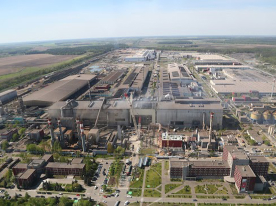 Оценены потери от забастовки на Белорусском металлургическом заводе