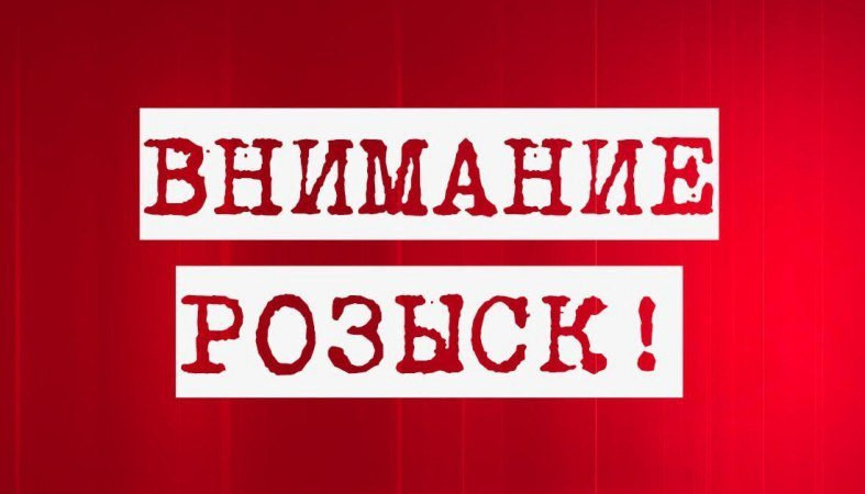 Пропавшего в Карелии полгода назад мужчину все еще не могут найти