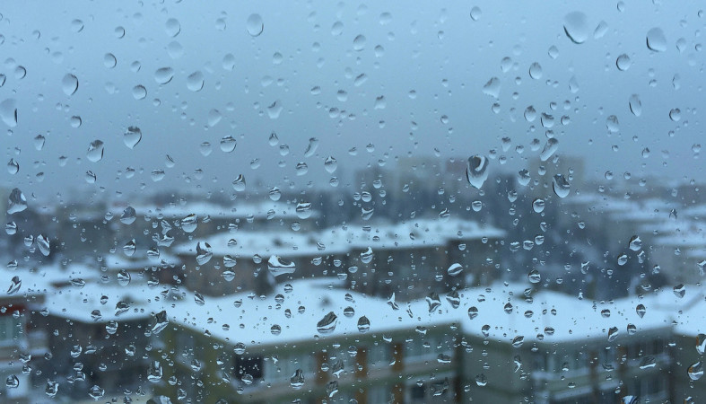 Синоптики обещают дождь в Петрозаводске в выходные