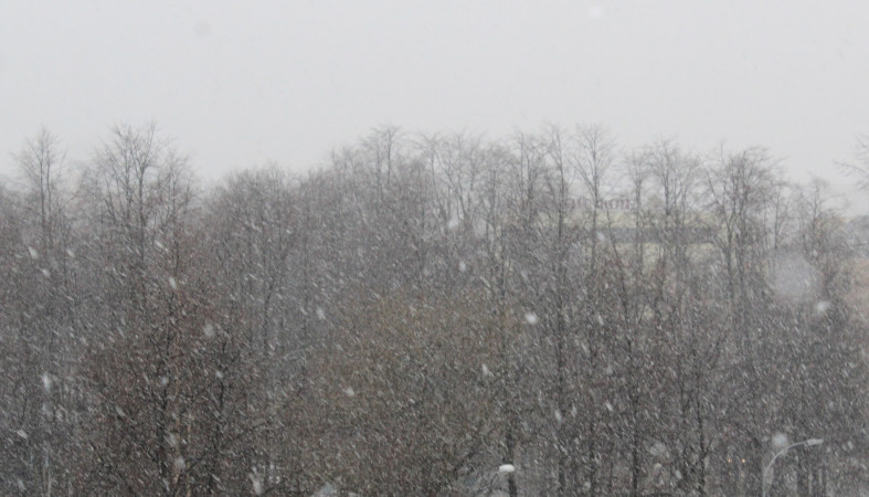 Субботники в Петрозаводске перенесли из-за снегопада