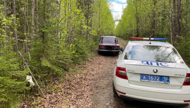 Сотрудники полиции в лесу под Петрозаводском ловили молодого водителя