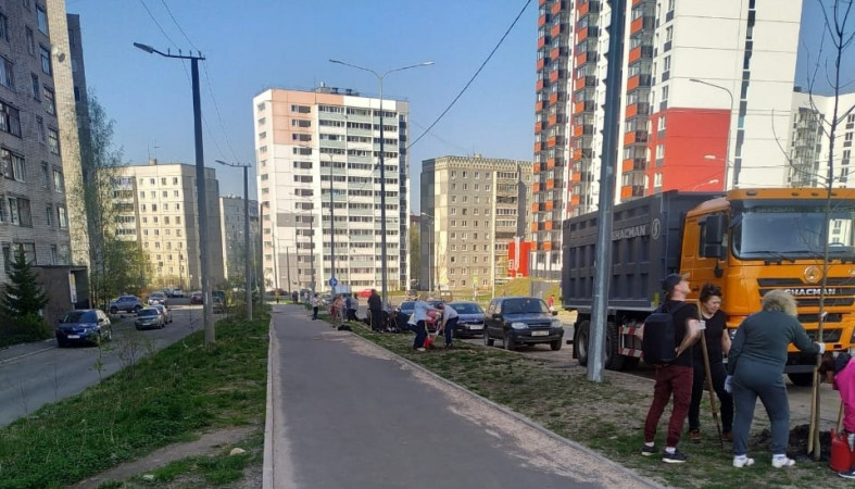 Петрозаводчане высадили деревья в трех районах города