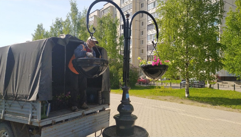 В Петрозаводске идут работы по благоустройству и уборке города