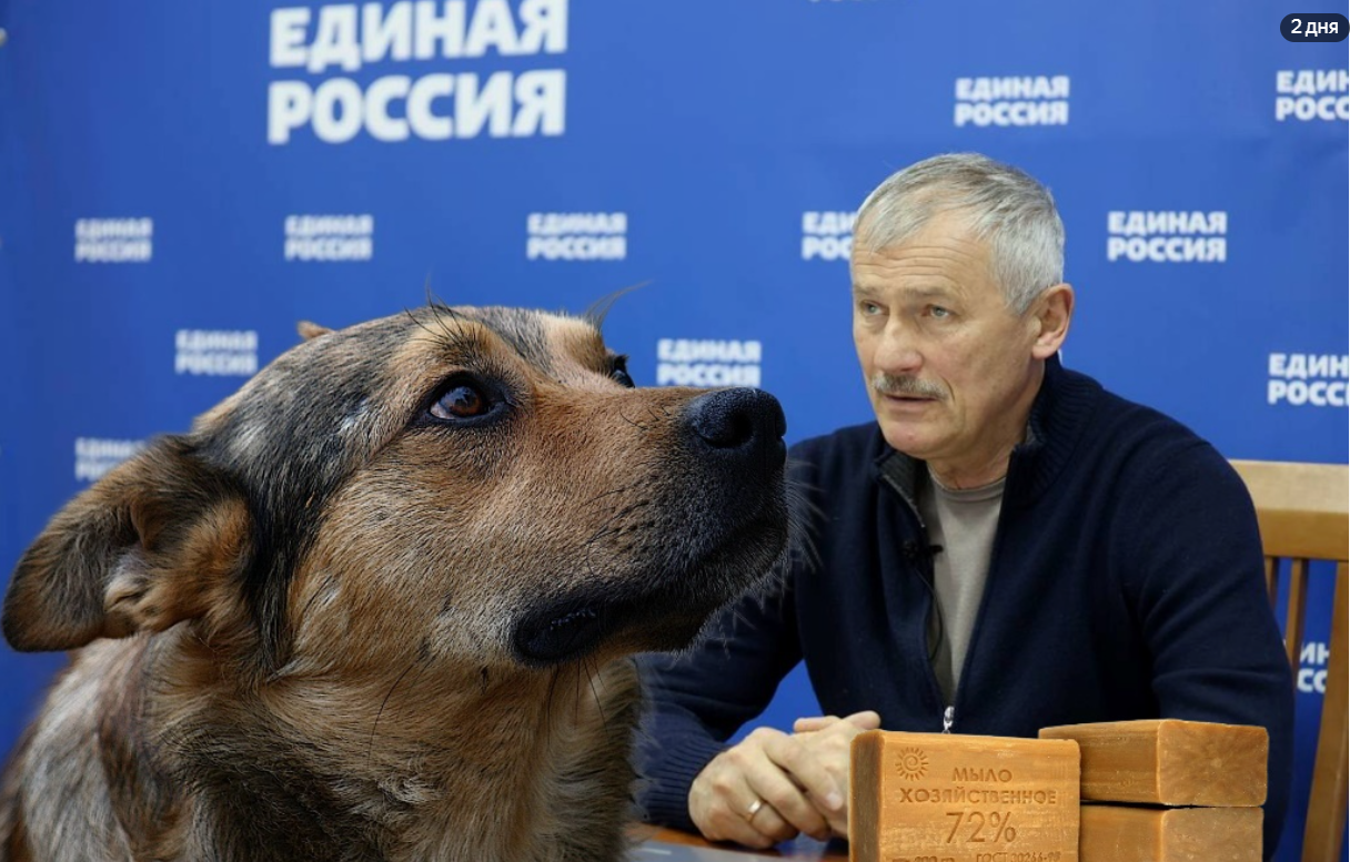 всех собачников облить бензином и сжечь