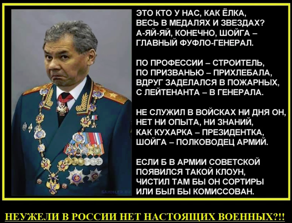 Шойгу рассказал, что ему «холодно и одиноко» на руководящем посту