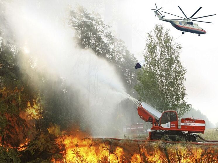 Тушить горящие карельские леса будут спасатели из Марий Эл