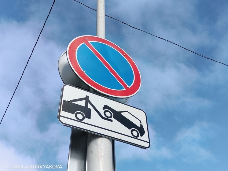 На Кукковке в Петрозаводске временно запретят парковку из-за ночного забега