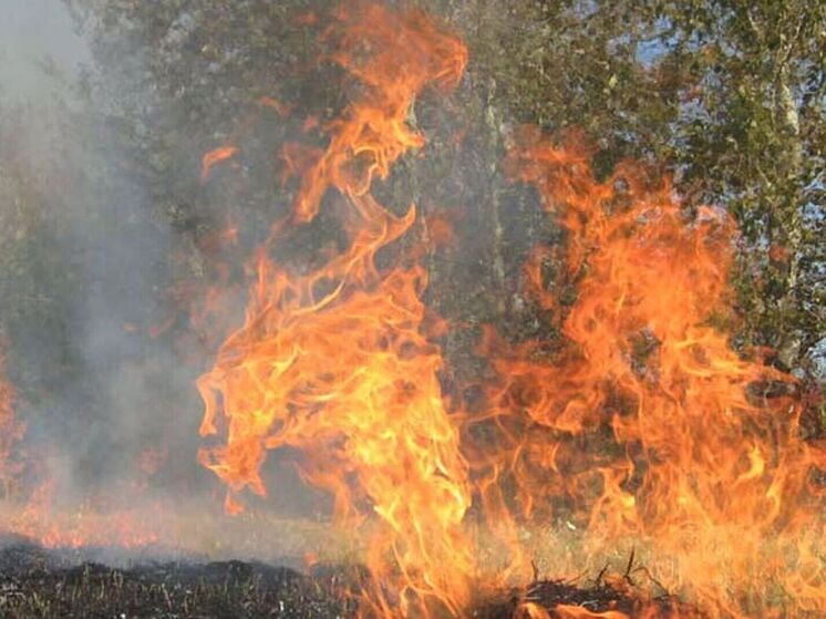 Карелия в огне: 28 пожаров тушат карельские спасатели