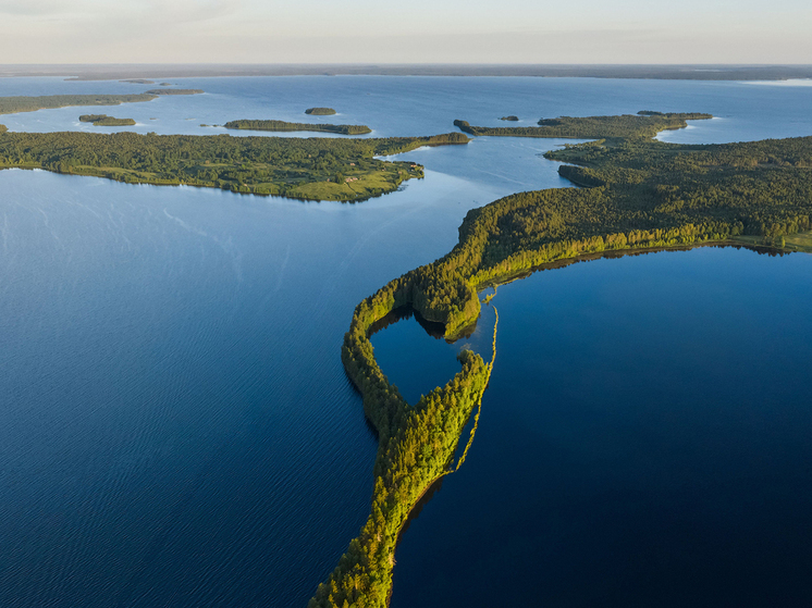 Лесные пожары добрались до Национального парка Карелии