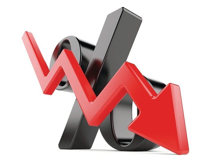 Цены на овощи, фрукты и яйца упали в Карелии