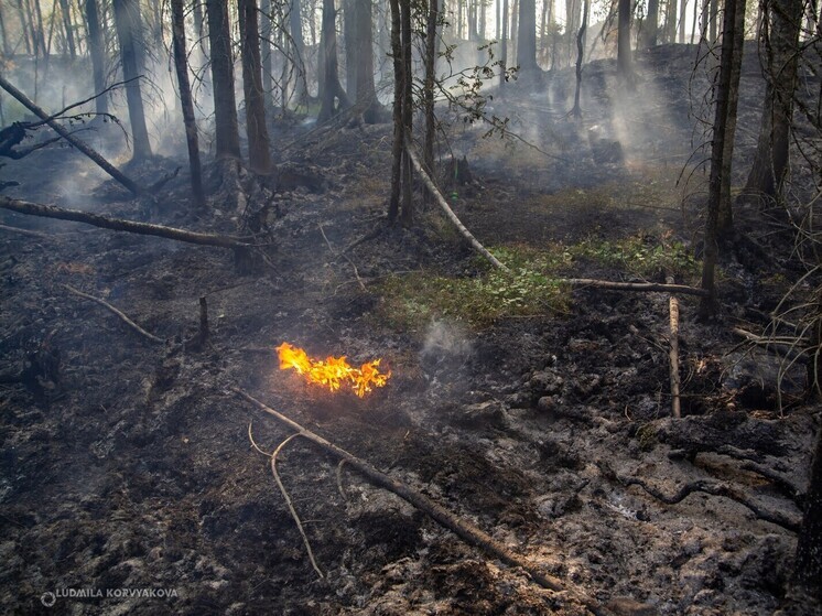 В Лоухском районе Карелии введен режим повышенной готовности
