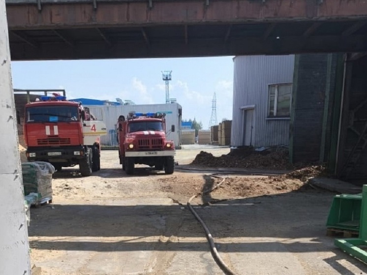 На Соломенском лесозаводе в Петрозаводске вспыхнул пожар