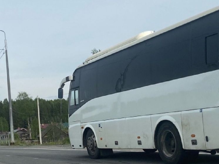 Автобусные рейсы между Петрозаводском и Санкт-Петербургом могут задерживаться