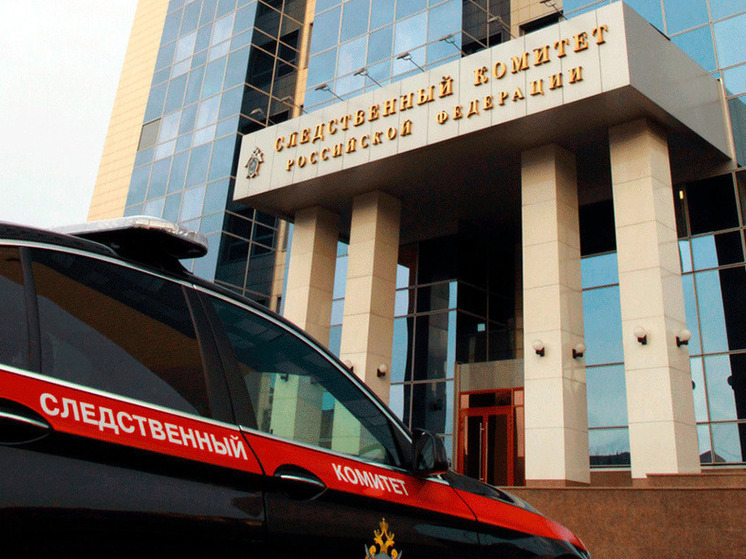 Глава Следственного комитета Российской Федерации Александр Бастрыкин дал указание провести проверку обстоятельств, связанных с обнаружением несанкционированной свалки испорченной рыбы в Карелии