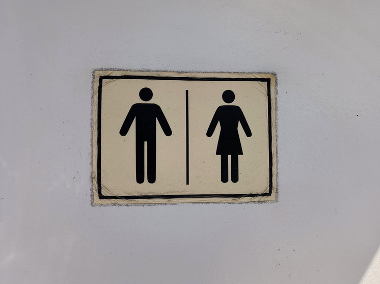 Мужчина подглядывал за посетительницами ТЦ в туалете: спрятал камеру в ершик