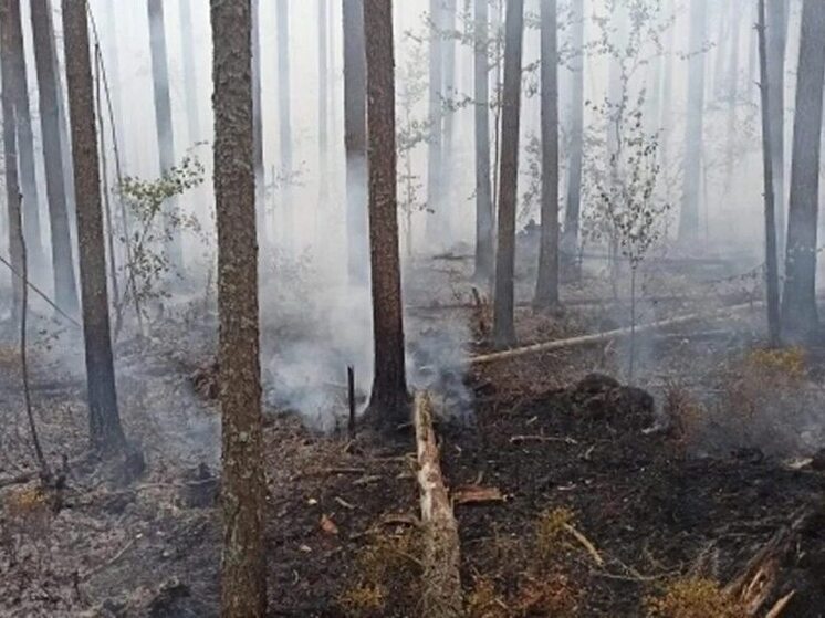 В Карелии потушены все лесные пожары