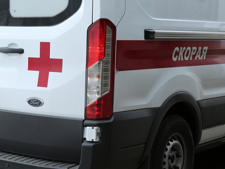 Сотрудники столичного детсада рассказали про нападение земляных ос на малышей