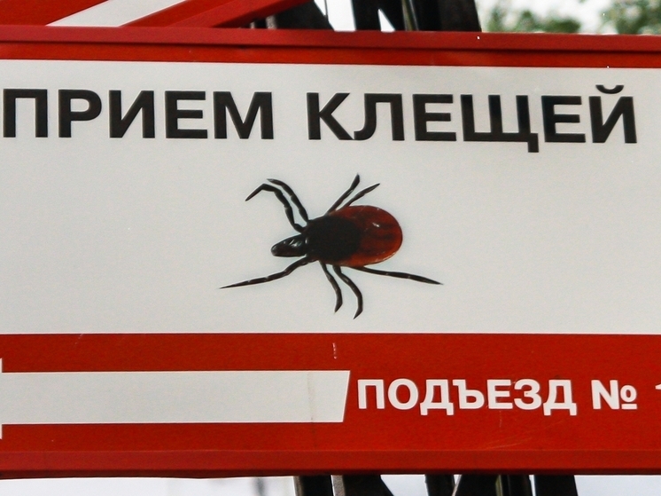 Более 50 жителей Карелии пострадали от укусов клещей за неделю