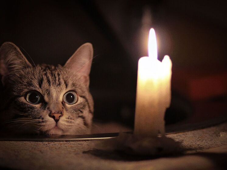 В результате прошедшей грозы в Прионежском районе произошли перебои с электроснабжением