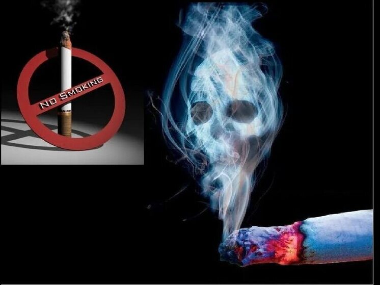 Употребление алкогольных напитков и табакокурение увеличивают вероятность возникновения атеросклеротических изменений в сосудах