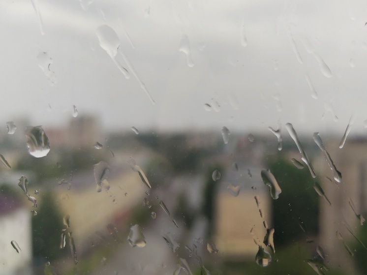 В Петрозаводске за сутки выпала четверть месячной нормы осадков