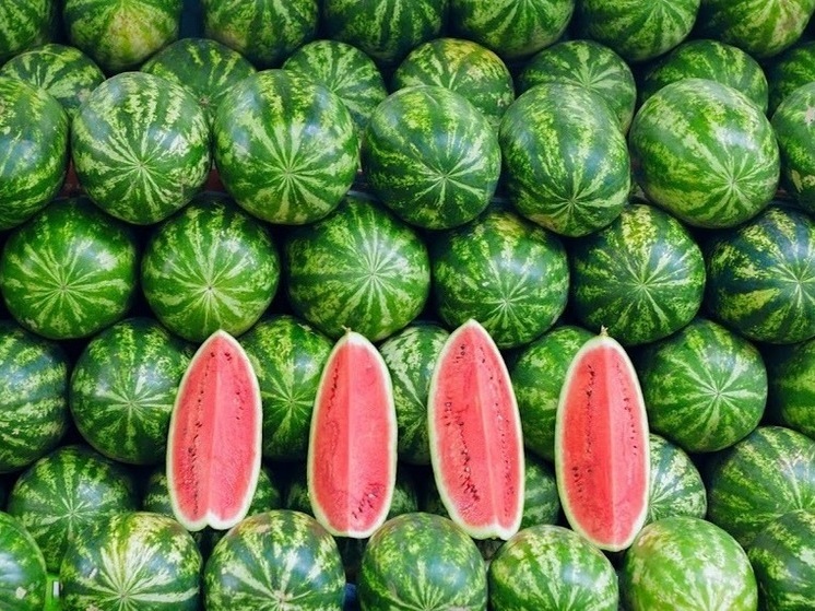 В Костомукше удалось вырастить арбузы и виноград