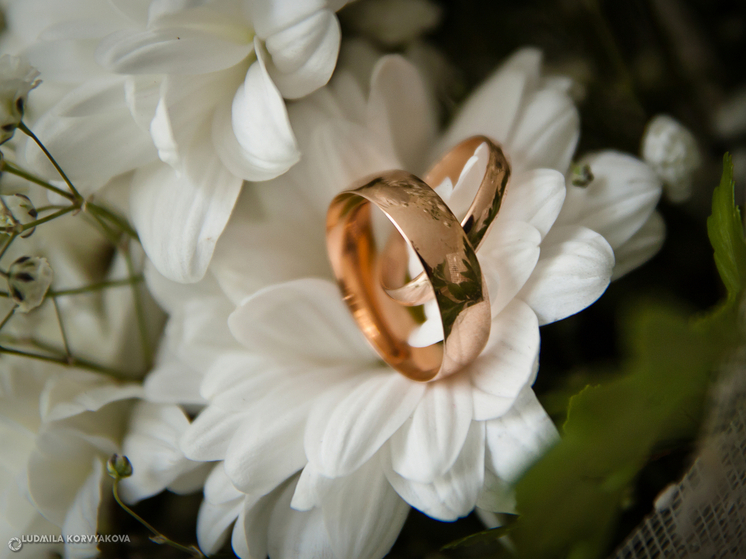 В Карелии число разводов снизилось из-за повышения госпошлины